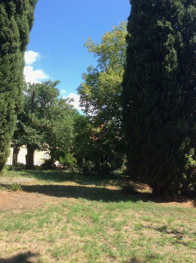 Art Home Bnb Carcassonne Exterior photo